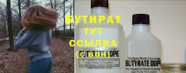 индика Арсеньев