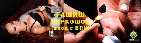 индика Арсеньев