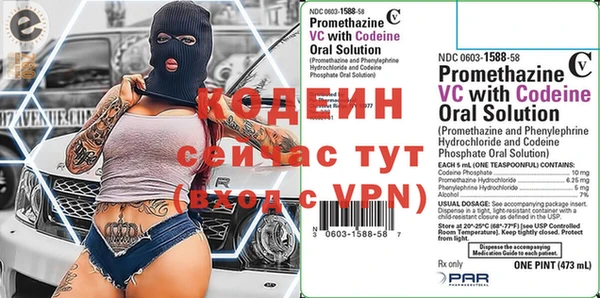 индика Арсеньев