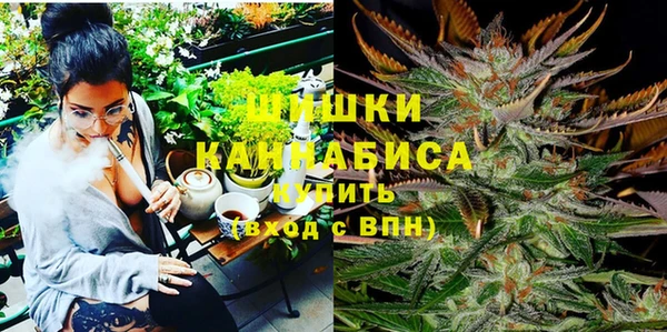 индика Арсеньев