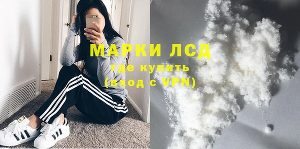 индика Арсеньев