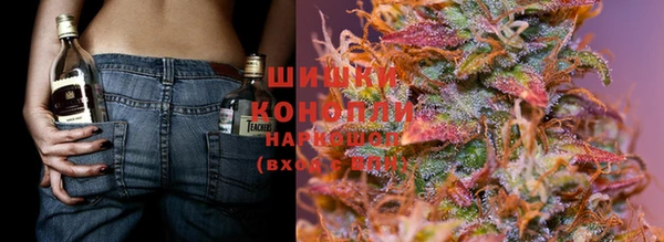прущие грибы Алексин