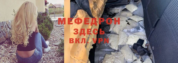индика Арсеньев