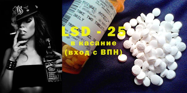 индика Арсеньев