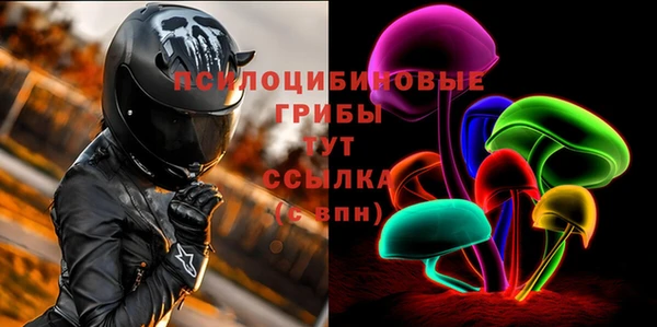 гидра Армянск